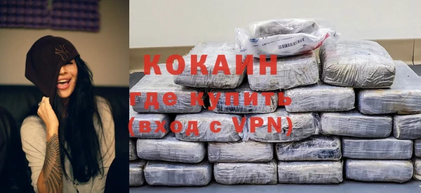 PSILOCYBIN Магас