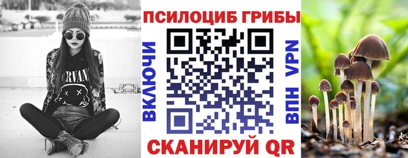 даркнет сайт  Тобольск  Галлюциногенные грибы Psilocybe 