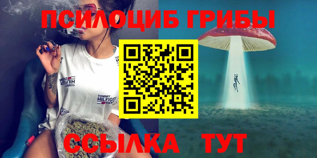 Тобольск  Галлюциногенные грибы Magic Shrooms  Вход с VPN  Псилоцибиновые грибы Psilocybe 