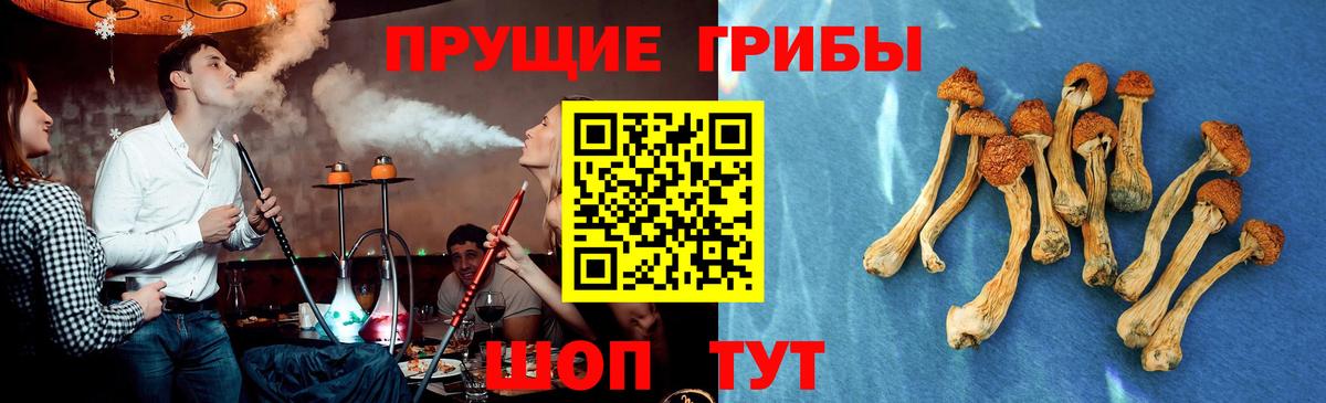 Галлюциногенные грибы прущие грибы Тобольск